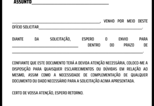 Eu vou redigir seus documentos oficiais.