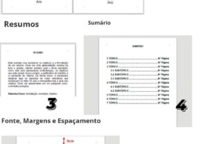 Eu vou Formatar seu trabalho de acordo com as normas abnt.