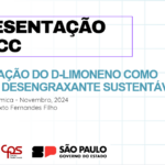 Eu vou fazer seu slide no canva