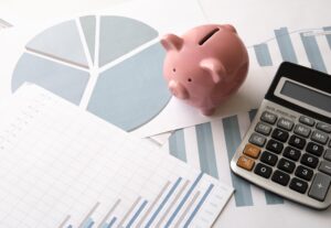 Eu vou fazer sua planilha de organização financeira