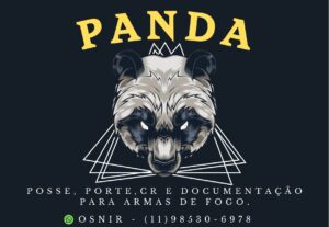 Eu vou fazer arte e design.