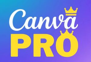 Eu vou Atualizar sua conta regular do Canva para o Canva Pro