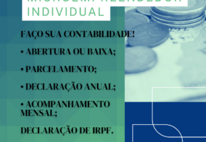 Eu vou Fazer sua declaração de MEI