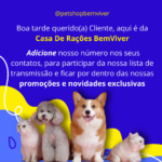 Eu vou Criar posts, design e conteúdo para redes sociais
