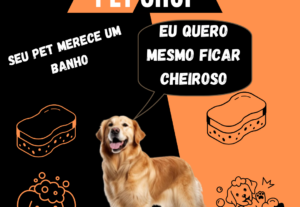 Eu vou Criar  e Editar Conteúdo Visual Criativo