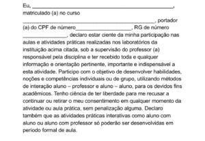Eu vou criar, organizar e formatar os seus documentos