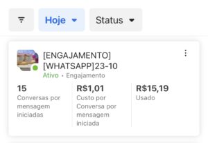 Eu vou ser a sua gestora de tráfego pago estrategista