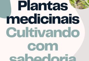 Eu vou Diagramar seu e-book, livro, revista