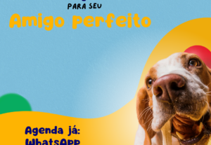 Eu vou criar duas artes profissionais para sua empresa