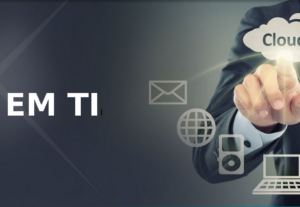 Eu vou fazer programação, consultoria, desenvolvimento