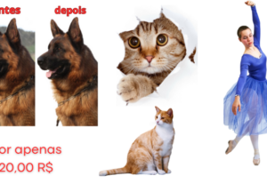 Eu vou remover o fundo de 5 imagens