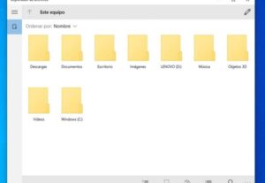 Eu vou organizar seus dados e informações e criar planilhas