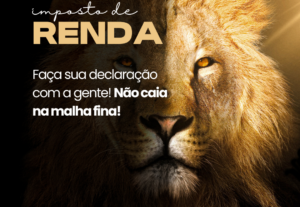 Eu vou fazer a sua declaração de imposto de renda