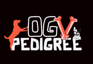 Eu vou criar logotipo de qualidade