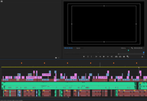 Eu vou editar seu vídeo da maneira que você quiser.