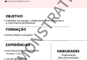 Eu vou Fazer seu currículo em PDF