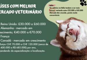 Eu vou fazer uma das melhores apresentações de slides