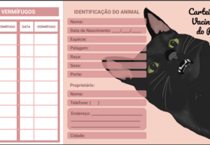 Eu vou resolver seus B.O.s, sou pau para toda obra