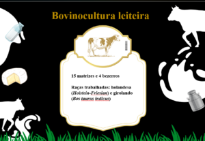 Eu vou criar um ótimo slide para apresentação do Power Point