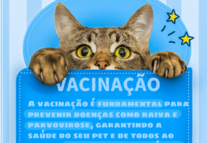 Eu vou Criar projetos com máximo de qualidade