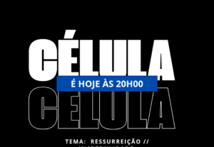 Eu vou Ser a melhor editora de logos e vídeos para você