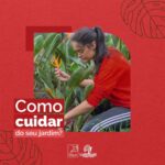 Eu vou fazer um post para as redes sociais da sua empresa