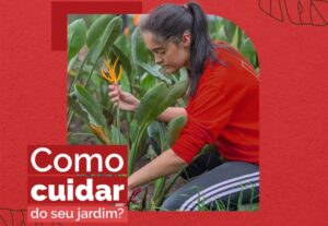 Eu vou fazer um post para as redes sociais da sua empresa