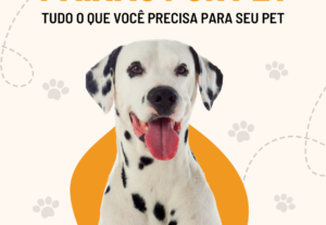 Eu vou fazer Artes Profissionais para Posts no Instagram.