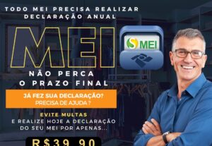 Eu vou fazer declaração anual do MEI DASN
