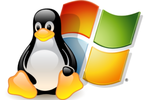 Eu vou resolver seu problema de sistema operacional ou sql