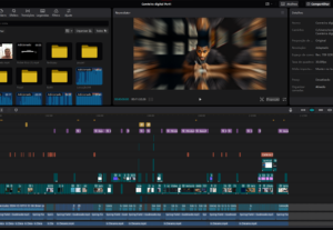 Eu vou editar seus videos de maneira criativa e dinâmica