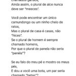 Eu vou traduzir o seu texto de inglês para português