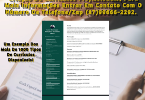 Eu vou Criar  currículos online.