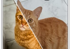 Eu vou Editar 5 Fotos suas de maneira profissional