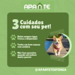 Eu vou criar criativos incríveis para suas redes sociais