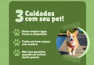 Eu vou criar criativos incríveis para suas redes sociais