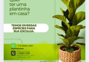 Eu vou Criar conteúdo para rede social