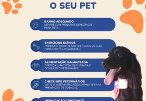 Eu vou fazer seus Stories/Posts Profissionais para 1 Semana