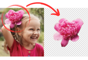 Eu vou remover o fundo de 5 imagens suas