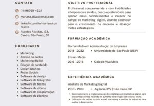 Eu vou criar currículo nível profissional