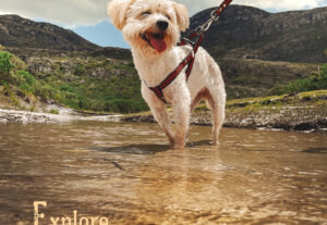 Eu vou editar 2 fotos e trazer a essência que ela merece