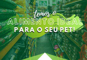 Eu vou criar posts para suas redes sociais