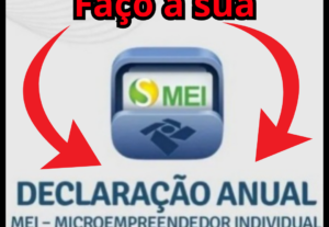 Eu vou fazer a sua Declaração Anual Mei 2024