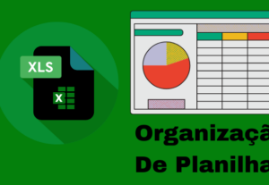 Eu vou organizar sua planilha no excel