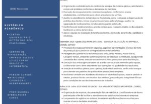 Eu vou fazer um currículo profissional para você.
