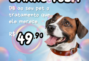 Eu vou fazer posts para sua página do Instagram