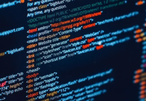Eu vou Desenvolver e/ou resolver os bugs do seu Software