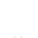 Eu vou criar uma logotipo express
