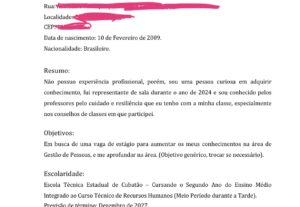 Eu vou fazer um currículo de acordo com a sua vaga