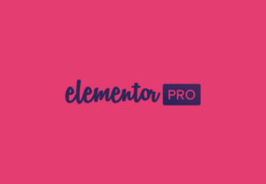 Eu vou te fornecer a licença original do Elementor Pro